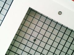 -竹林寺旅游风景区