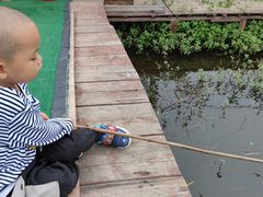 -同銮特种养殖场·龙虾垂钓