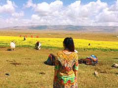 -青海湖国家重点风景名胜区