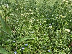 -宿豫区运河湾森林动物园