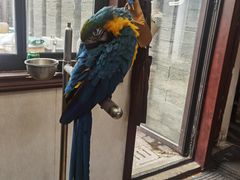 -观桥阁(锦溪店)