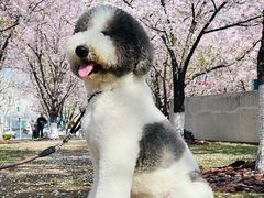 -龙美术馆(西岸馆)