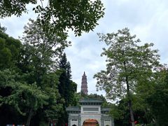 -顺峰山公园