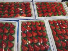 -果蔬好生活超市(乐堤港店)