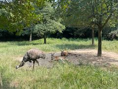 -杭州野生动物世界