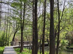 -溱湖国家湿地公园