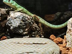 -太平洋海底世界