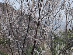 -鹫峰国家森林公园