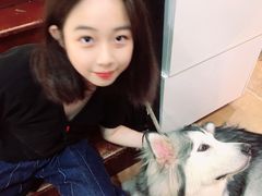 -李小姐の猫咖啡馆(五角场店)