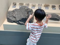 -安徽省地质博物馆