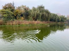 -城市运动公园(未央区)