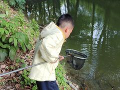 -国际非物质文化遗产博览园