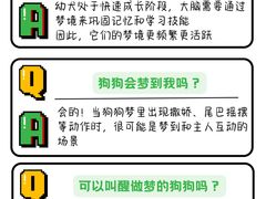 -美联众合动物医院·24h转诊中心