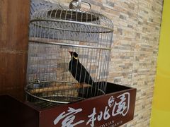 -宴桃园(门头沟店)