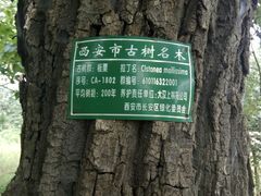 -西安秦岭野生动物园