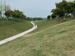 -滆湖低碳生态公园