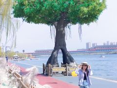-咸阳湖景区