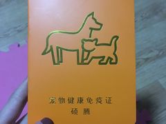 -米苏动物医院·犬猫专科·骨科外科内窥镜