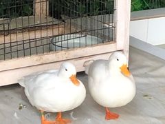 -六鳌翡翠湾滨海度假景区