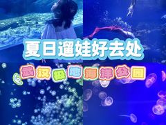 -海合安武汉极地海洋公园