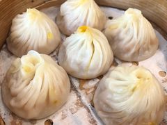 -小杨生煎(香港名都店)
