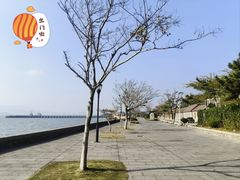 -刘公岛景区