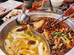-耗儿鱼蛙蛙叫·老成都火锅(蛇口海昌街店)