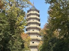 -灵谷景区