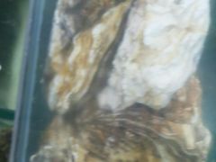 -港畔赶海蒸汽海鲜烧烤自助(仙螺岛店)