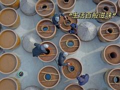 -国家五钻酒家·西樵旺阁渔村(西樵店)