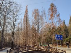 -白水寺森林公园