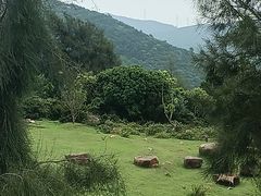 -大姆山草场