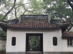 -上海佘山国家森林公园天马山园