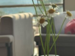 -宁波九龙湖开元度假村