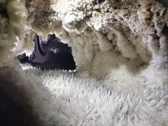 -湖南省地质博物馆