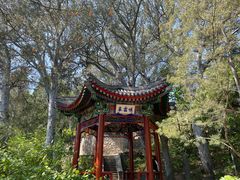 -香山公园