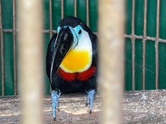 -大连老虎滩海洋公园