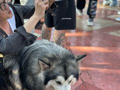 -西双版纳傣族园