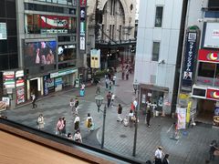 -蟹道乐(道顿堀本店)