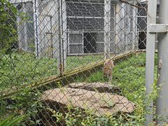 -合肥野生动物园
