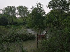景点-新江湾城公园