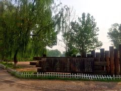 -亲兄弟真人CS团建拓展基地