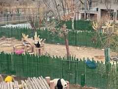 -沈阳森林动物园