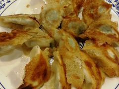 -石老头关东饺子王·东北菜(嘉华鑫城店)