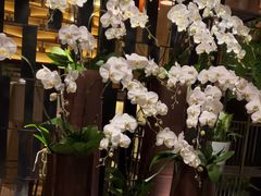 -上海静安铂尔曼酒店