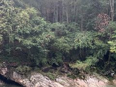 -黄山翡翠谷景区