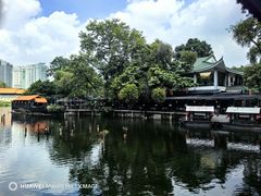 -侨美·唐荔园·40年地道粤菜