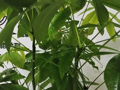 -宜昌富力皇冠假日酒店·咖啡1号西餐厅