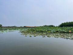 -白洋淀景区