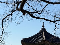 -景福宫
